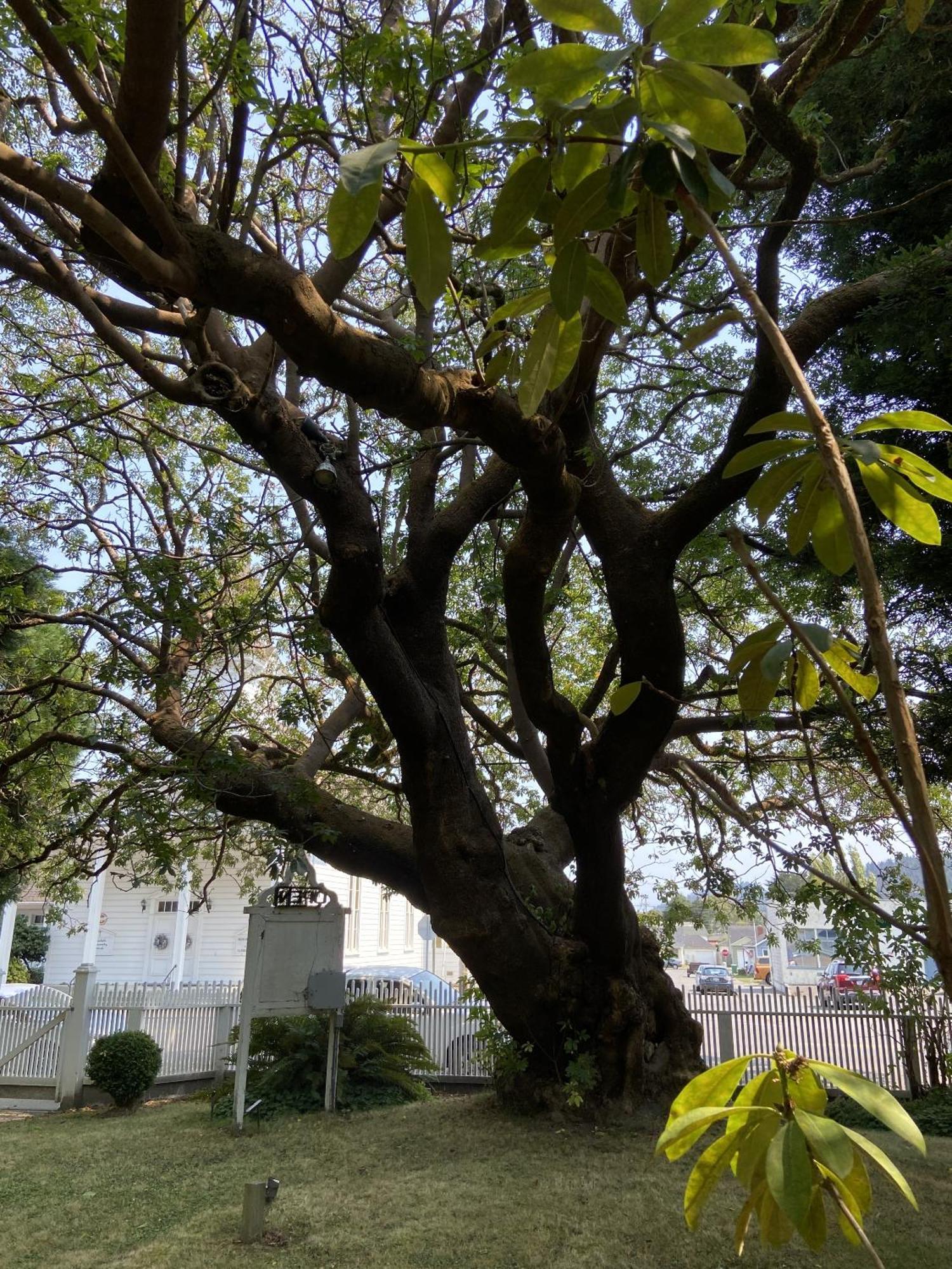 فيرندالي Shaw House Inn المظهر الخارجي الصورة